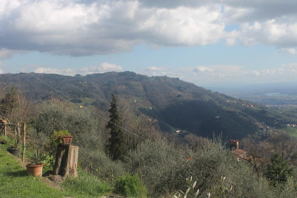 Poderesulle soglie del Bosco appartament&rooms Pescia Esterno foto