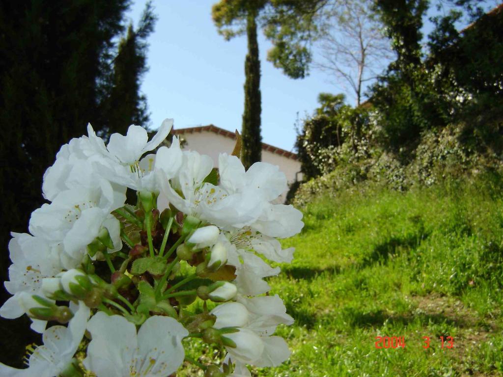 Poderesulle soglie del Bosco appartament&rooms Pescia Esterno foto