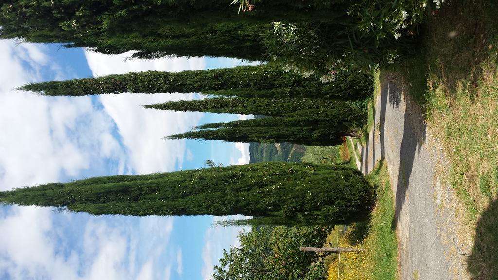 Poderesulle soglie del Bosco appartament&rooms Pescia Esterno foto