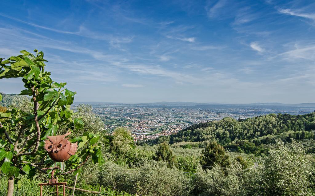 Poderesulle soglie del Bosco appartament&rooms Pescia Esterno foto
