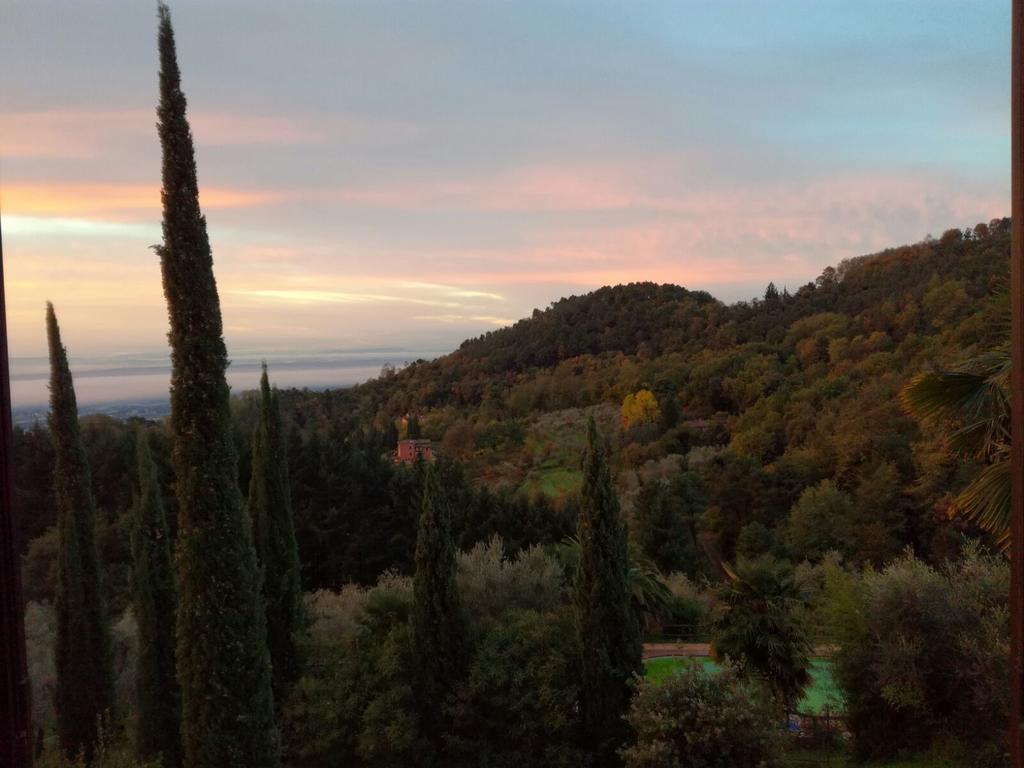 Poderesulle soglie del Bosco appartament&rooms Pescia Esterno foto
