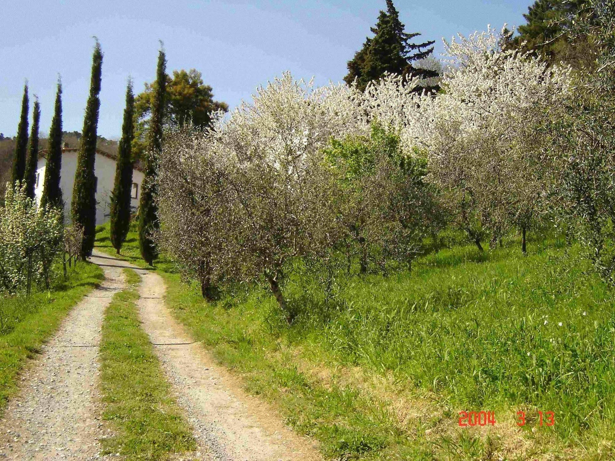 Poderesulle soglie del Bosco appartament&rooms Pescia Esterno foto